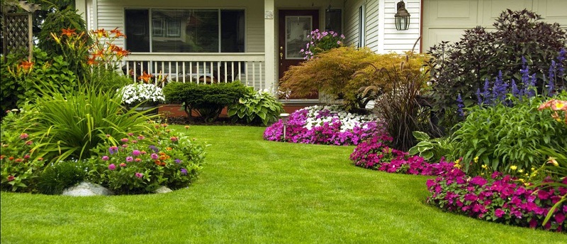 Transforming Outdoors: Discover the Beauty of Landscapers in Tonawanda, NY